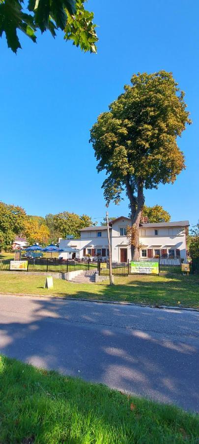Pod Kasztanem Lägenhet Lubin  Exteriör bild